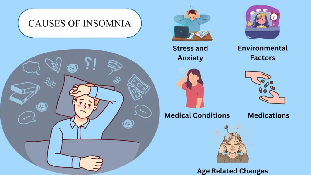 causes of insomnia 