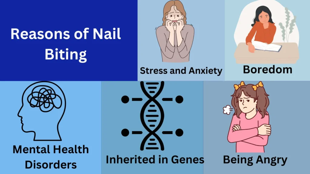 reasons of nail biting habit